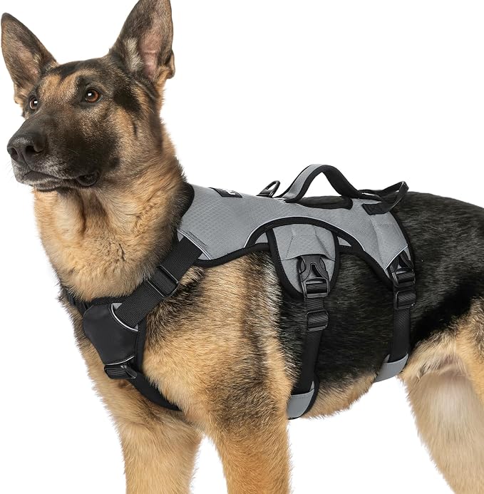 rabbitgoo Escape Proof Dog Harness for X-Large, No Pull with Lift Handle | No Escape, Full Soft Padded, Reflective Adjustable Vest, Leash Clip for Walking Hiking Training, Grey, X-Large