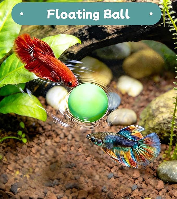 Betta Fish Toys,Including Betta Feeding Ring and Floating Betta Sports Mirror,Betta Enrichment Toys for Small Tank,Betta Fish Tank Accessories