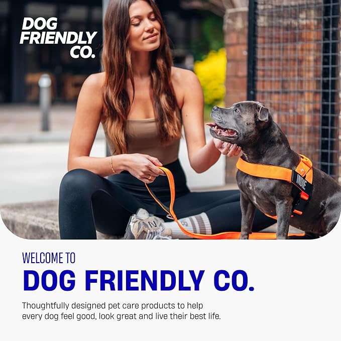 Dog Friendly Co. Dog Harness for Large Dogs (Neon Green, Large) | One Click Buckle, Chafe Resistant Webbing, Adjustable Neck & Chest, and Heavy Duty D-Ring, Sturdy Comfortable and Easy to Use