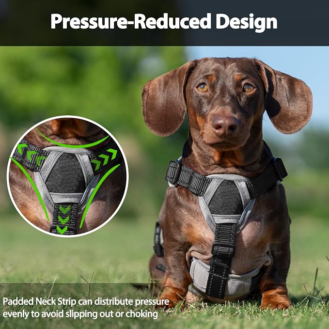 Escape Proof Dog Harness, Dachshund Harness, Reflective Dog Harness with Handle, Durable,Adjustable Vest for Small Medium Large Dogs Walking, Training, and Running Gear (Black,M)