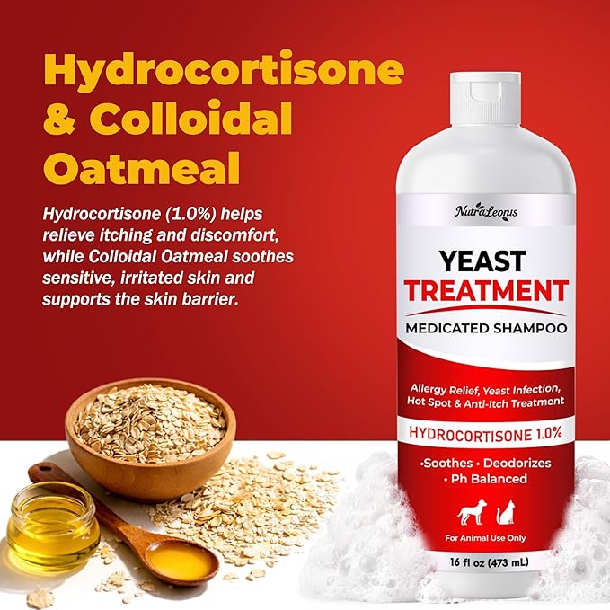 Yeast Infection Treatment for Dogs Shampoo - Allergy Relief, Yeast Infection, Hot Spot & Dry Skin Anti-Itch Treatment Wash - Vet Formula - Healthy Skin & Coat - 473ml / 16 fl oz