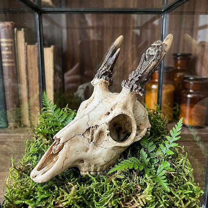 Mini Reptile Hide Cave, Small Terrarium Shelter for Spider, Tarantula, Gecko Tank Accessories, Natural Climbing Decor for Terrarium Habitat, 4 Inch(Elk Skull)