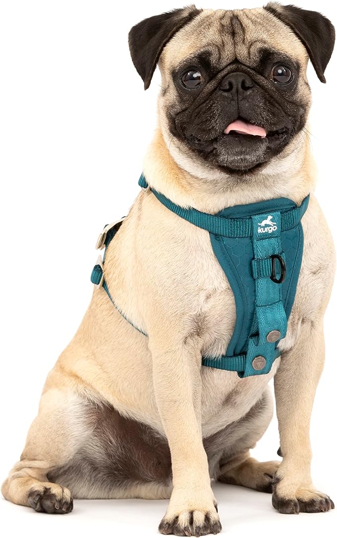 Kurgo Enhanced Strength Tru-Fit Smart Harness, Ink Blue, Extra Small | Crash Tested Car Harness for Dogs up to 75Lbs, Seatbelt Tether & Steel Carabiner, All-Steel Buckles, Padded Chest for Comfort