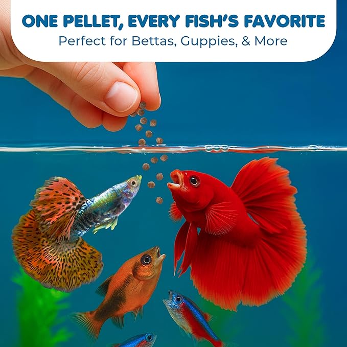 SunGrow Betta Food Pellets, 1 mm Color Enhancer Floating Feed, Balanced Diet for Happy Fish, Easily Digestible Food, Slow-Dissolving Pellets, Vegetable and Fish Formula Doesn’t Cloud Water