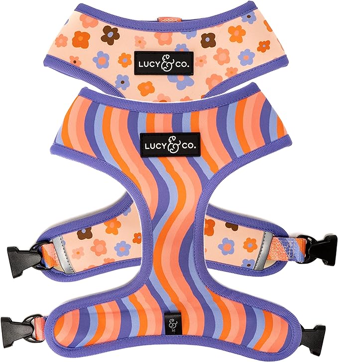 Lucy & Co. Reversible Dog Harness - Water-Repellent Neoprene, Dual-Print Design, Easy Swap Style, Adjustable Comfort Fit - Let's Groove Reversible Harness - X-Large