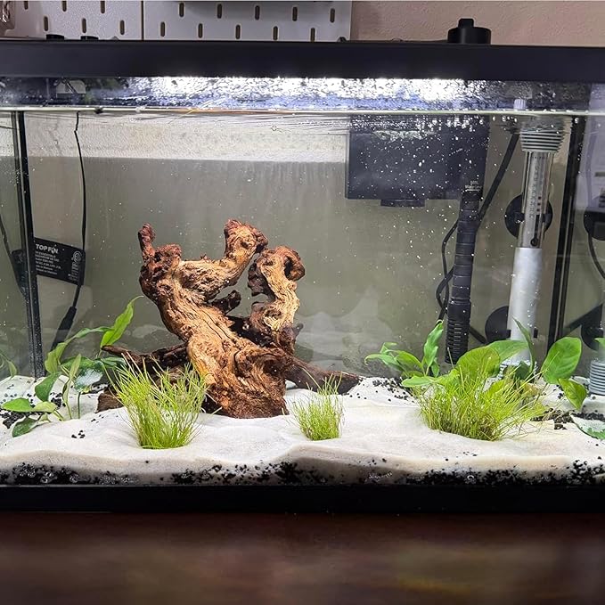 2 PCS Large Natural Aquarium Driftwood 12-16", Aquarium Drift Wood for Fish Tank Decoration, Assorted Size Mopani Wood Twisted Branches Trunk Decor for Freshwater, Reptile Terrarium