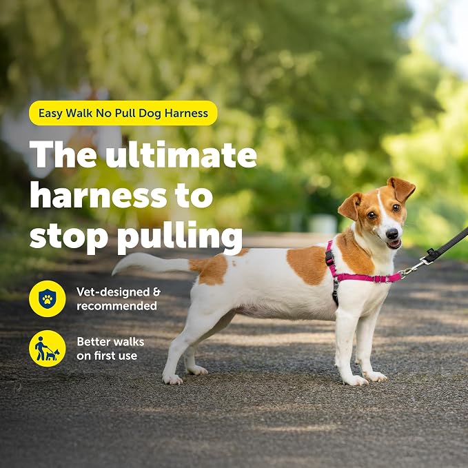 PetSafe Easy Walk Harness, No Pull Dog Harness, Red, Small | Patented Martingale Loop Gives Gradual Shoulder Pressure to Stop Pulling, Front-Chest Leash Clip Prevents Gagging