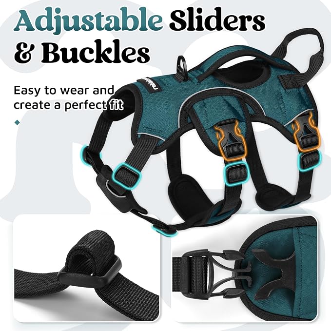 rabbitgoo Escape Proof Dog Harness for Small, No Pull with Lift Handle | No Escape, Full Soft Padded, Reflective Adjustable Vest, Leash Clip for Walking Hiking Training, Dark Green, Small