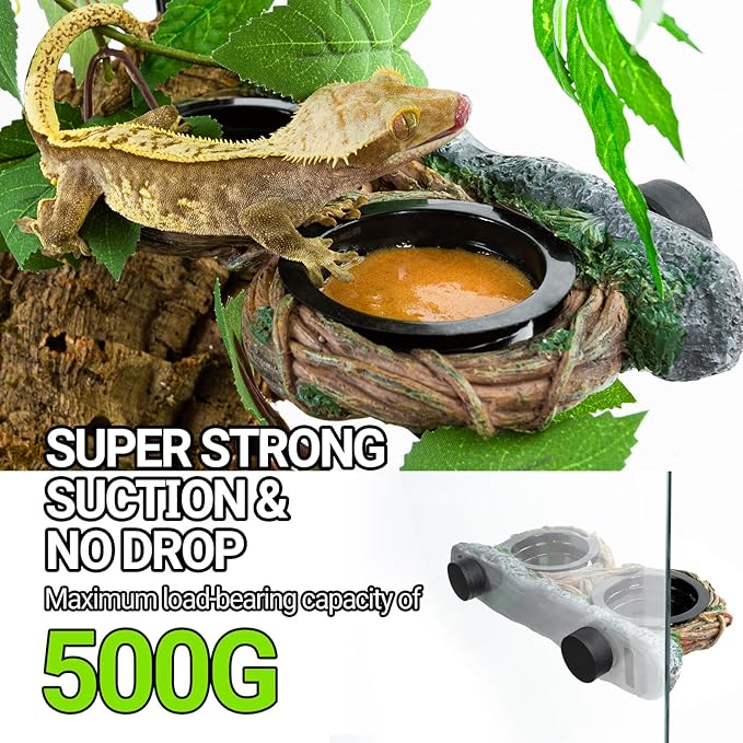 REPTI ZOO Magnetic Reptile Feeding Ledge, Gecko Feeder Ledge with 4PCS Cups, Hollow Vine Food Dish, Reptile Water Bowl for Bearded Dragon Lizard Snake Turtle, Terrarium Tank Accessories