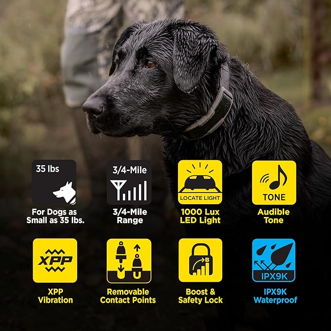 Dogtra 1900X 2-Dogs E-Collar with Remote - 3/4 Mile Range, 35 lbs+, LED Light, 100 Levels Control for Stubborn Dogs, Waterproof, Boost for Quick Recall, Vibration, Safety Lock & Tone