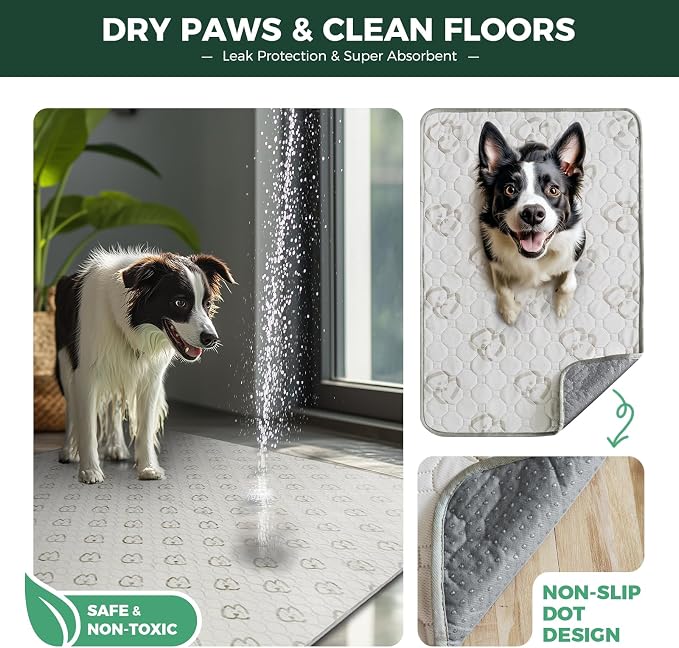 FXW Washable Pee Pads for Dogs, Super Absorbent, 39" Square, 2 Packs | Machine washable, Non-slip backing
