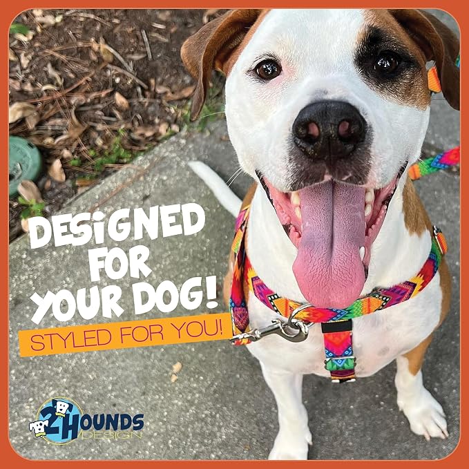 2 Hounds Design Freedom No Pull Dog Harness, 5/8 inch MD, Raspberry | Discourages Pulling, Comfortable Control Adjustable Dog Harness for Medium Sized Dogs, Made in USA (Leash Not Included)