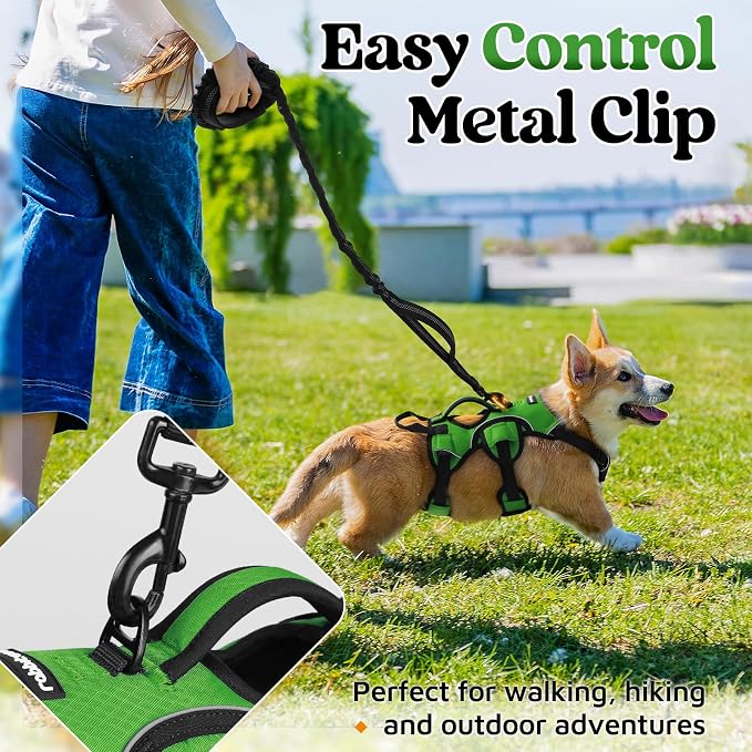 rabbitgoo Escape Proof Dog Harness for Small, No Pull with Lift Handle | No Escape, Full Soft Padded, Reflective Adjustable Vest, Leash Clip for Walking Hiking Training, Green, Small