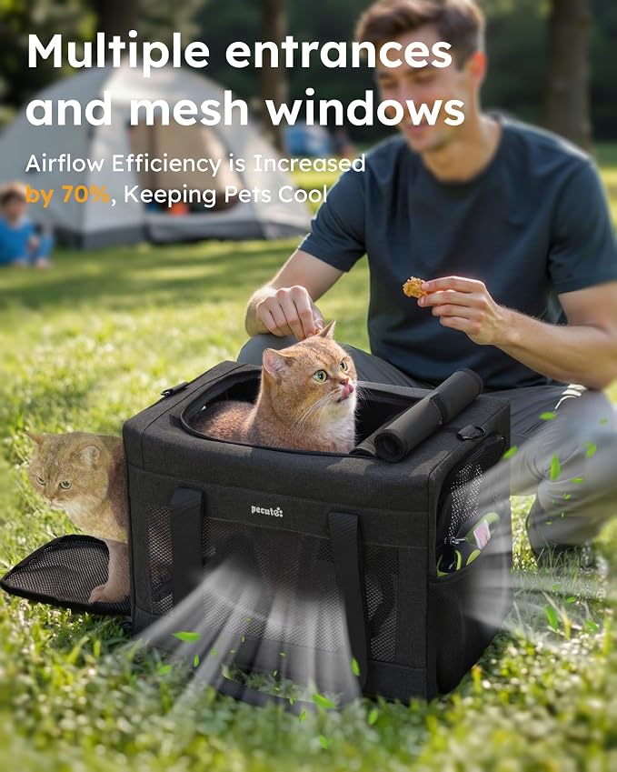 Pecute Cat Carrier, Portable Dog Carrier with Stable Structure, Dark Grey | Larger Space, 360° Ventilation & Comfort, Escape-Proof, for Travel / Car Trips / Vet Visits, Fits Cats up to 11 lbs