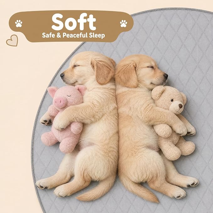 CoolShields Washable Pee Pads for Dogs, 36'' x 36'', Grey, 4 Pack | Ultra-Absorbent Reusable Waterproof Puppy Pad for Crates, Playpens, Carpets, and Floors—Ideal for Dogs, Cats, and Small Pets