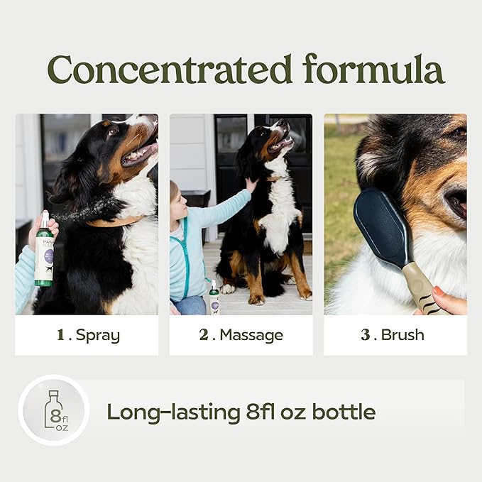 PAWFUME Skin & Coat Detangler Spray for Dogs, 1-Pack – Soothe Dry, Itchy Coats Quickly – Non-Toxic Chamomile & Oat Formula, Essential Fatty Acids & Vet-Certified – Dog Detangler Spray Dematting Care