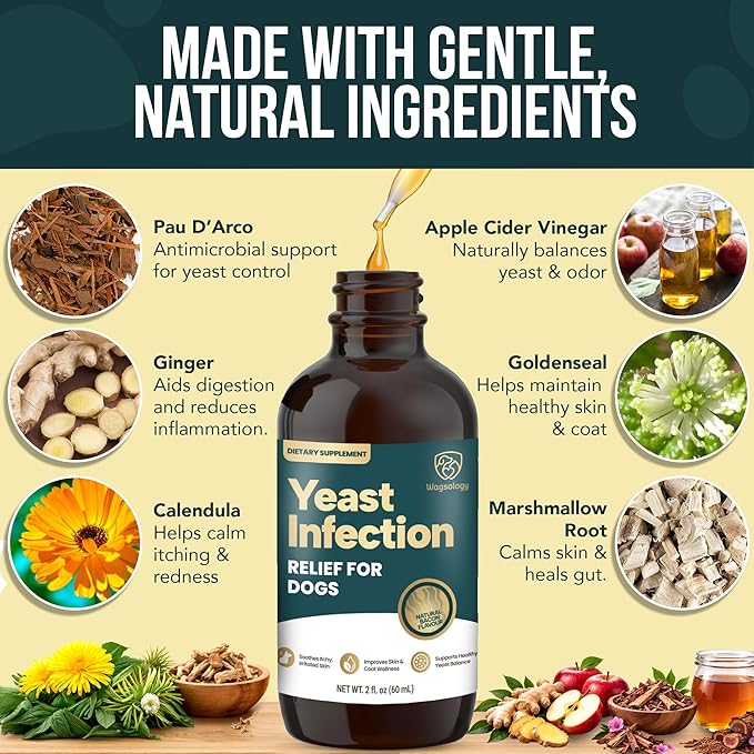 Yeast Infection Treatment for Dogs Drops (7 in 1 Formula) Soothes Itchy & Irritated Skin, Improves Skin and Coat, Dog Yeast Infection Treatment & Anti Yeast Drops for Dogs