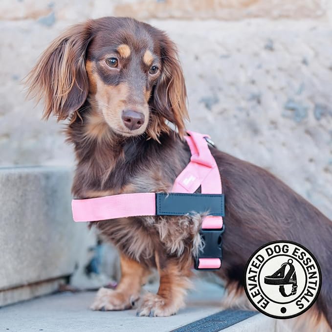 Dog Friendly Co. Dog Harness for Small Dogs, Adjustable (Pink, XXSmall) | One Click Buckle, Chafe Resistant Webbing, Adjustable Neck & Chest, and Heavy Duty D-Ring, Sturdy Comfortable and Easy to Use