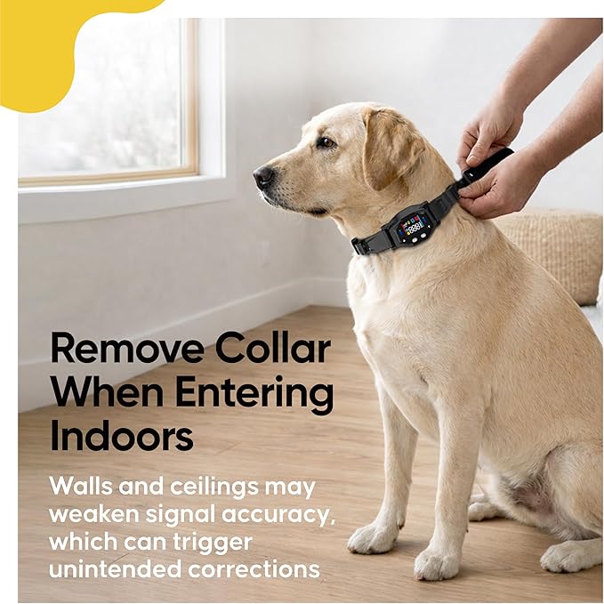 F850 Outdoor GPS Wireless Dog Fence System with Collar, Invisible Boundary Training, Rechargeable and Portable