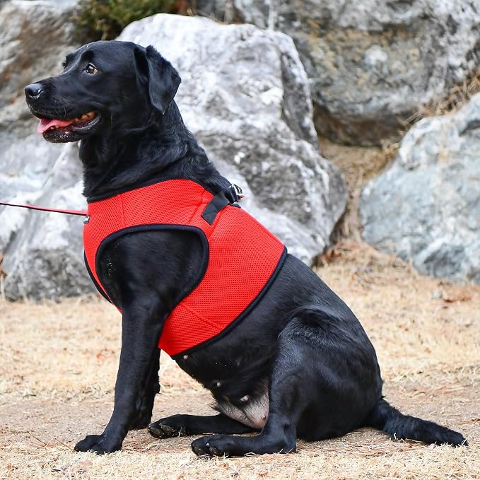 PUPPIA International Puppia Harness Soft B Vest RED Large