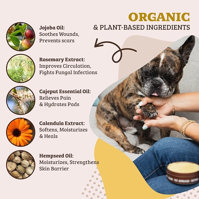 Natural Dog Company Paw Soother Balm & Wax - Dog Paw Balm & Moisturizer for Dry, Cracked Paw Pads, Helps Moisturize & Condition Worn Paws, Coconut Oil & Calendula, Daily Paws Care, 2 oz Tin