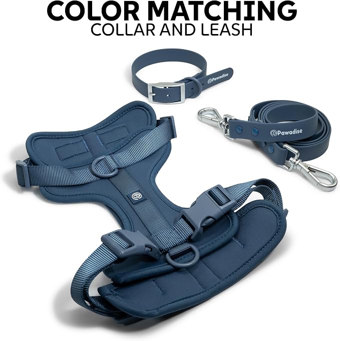 Dog Harness, Collar & Leash Set, Adjustable No Pull Harness with 3 Leash Clips, Waterproof Matching Collar & Leash, Breathable Comfort (Blue, Large)