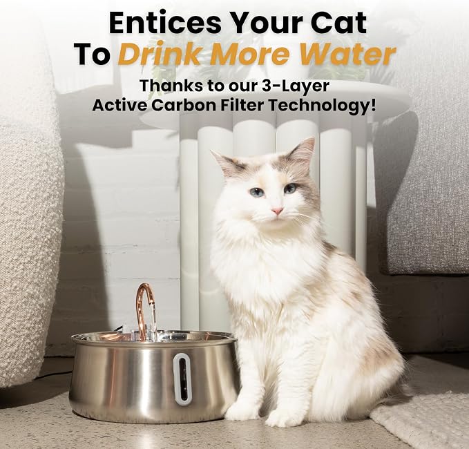 KittySpout Stainless Steel Cat Water Fountain Automatic Drinking Fountain, Quiet Circulating Water Bowl, Dishwasher Safe, Indoor Pet Fountain for Hydrated Healthy Cats (Stainless Steel, 4L Corded)
