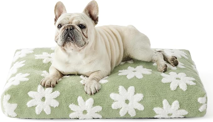 LE SURE Cute Aesthetic Bed Medium Size Dog,Jacquard Thick Pet Pillow 30x20 | Shredded Chopped Foam,Modern Plush Crate Cushion Gift for Medium Size Dog, Waterproof Washable Cover, Nonslip Bottom, Green