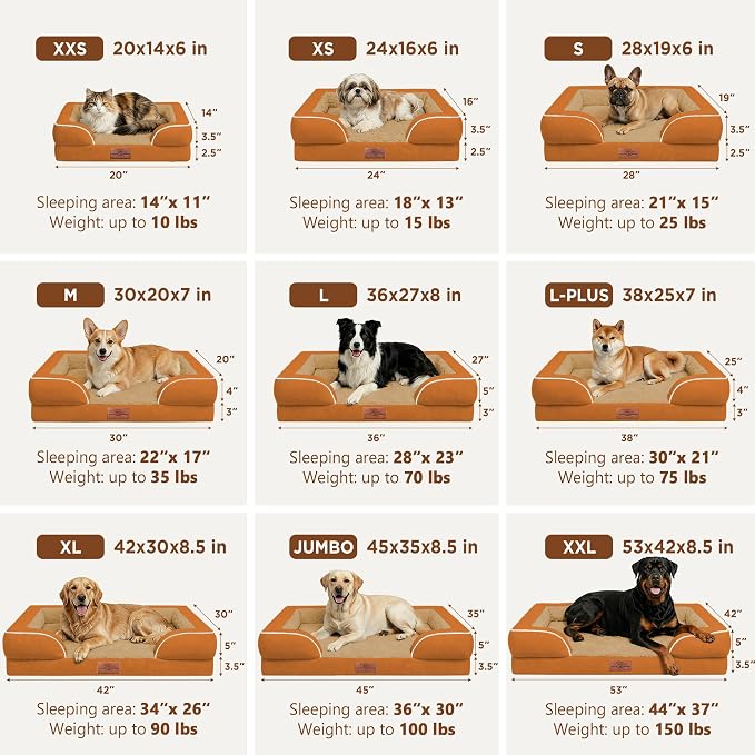 Comfort Expression Waterproof Orthopedic Dog Bed for Extra Large Dogs | Supportive Egg Crate Foam XL Pet Bed with Removable Bolster, Dog Couch with Washable Cover & Non-Slip Bottom, 42x30 Inch