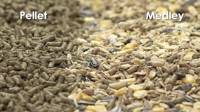Kaytee Food from The Wild Natural Pet Rabbit Food,4 Pound,(Pack of 2)