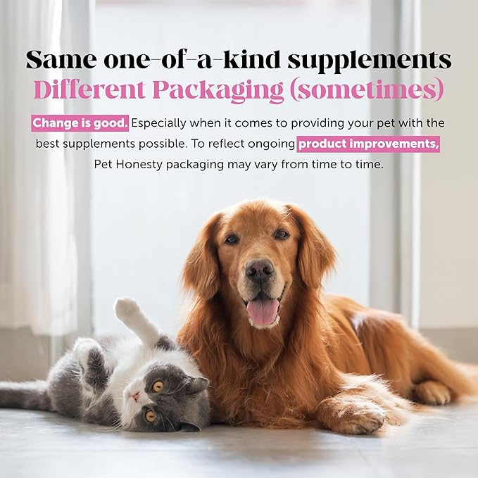 Wild Alaskan Salmon Oil for Dogs Omega 3 Fish Oil Chews - Skin + Coat Supplement for Itchy Skin Relief, Dry Skin, Hot Spots + Shedding Control - Supplements with Vitamin E + Vitamin C (Salmon, 90 Ct)