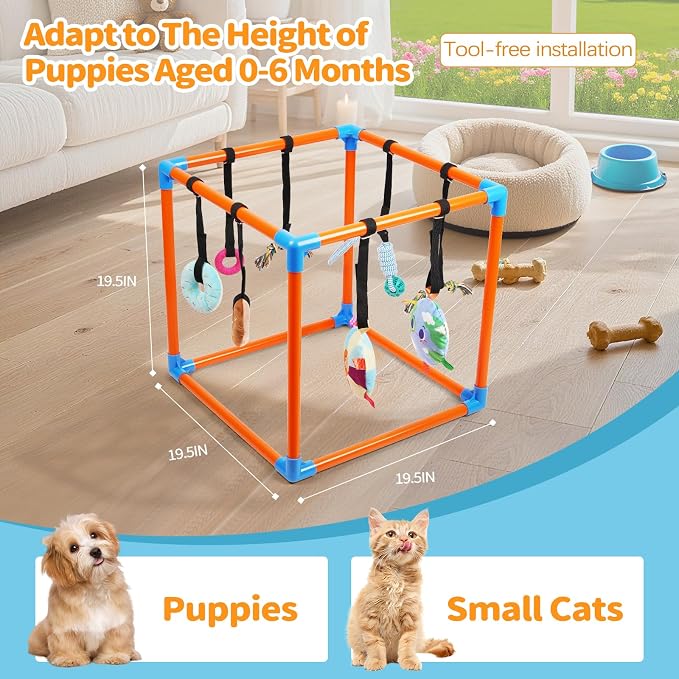 Liitrton Puppy Play Gym for Small Dogs with 8 Hanging Toys, Orange | 19.5"x19.5"x19.5" PVC Frame, Indoor Puppy Jungle Gym with Interactive Puppies Toys