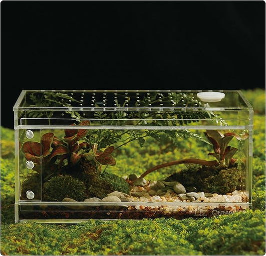 Acrylic Terrarium for Reptiles & Spiders – Small/Medium/Large Leak-Proof Enclosure (Horizontal/Vertical) | Ideal for Tarantulas, Jumping Spiders, Frogs & Geckos(Small, Horizontal)