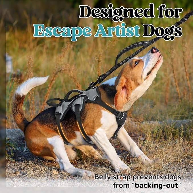 rabbitgoo Escape Proof Dog Harness for Small, No Pull with Lift Handle | No Escape, Full Soft Padded, Reflective Adjustable Vest, Leash Clip for Walking Hiking Training, Grey, Small