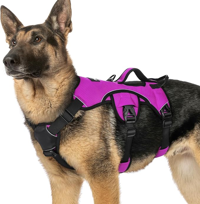 rabbitgoo Escape Proof Dog Harness for X-Large, No Pull with Lift Handle | No Escape, Full Soft Padded, Reflective Adjustable Vest, Leash Clip for Walking Hiking Training, Purple, X-Large