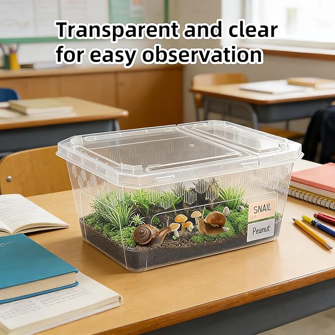3Pcs Reptile Feeding Box Set, 3-Size Plastic Reptile Critter Keeper with Tags, for Isopods Snails Sling Geckos Frog Spiders Turtles Scorpion Serpents Tarantulas and Breeding Worms(Clear)