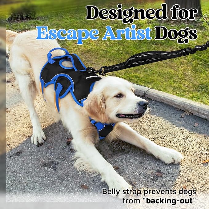 rabbitgoo Escape Proof Dog Harness for X-Large, No Pull with Lift Handle | No Escape, Full Soft Padded, Reflective Adjustable Vest, Leash Clip for Walking Hiking Training, Blue & Black, X-Large