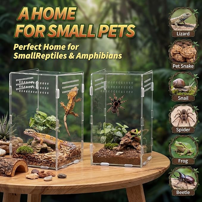 Hushee 2 Pcs Acrylic Reptile Terrarium Easy Assembly, 360° Clear & Keep Pet Secure Design for Jumping Spiders, Tarantulas, Frog, Mantis, Geckos, Ventilated Habitat Terrarium Enclosure 9.8*5.9*5.9in