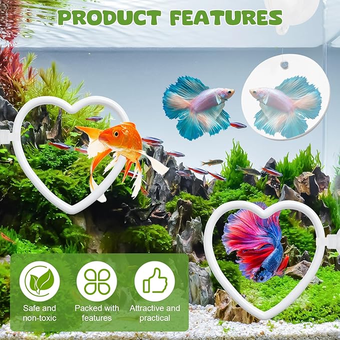2 Pcs Betta Fish Exercise Love Ring & Betta Mirror, Betta Enrichment Toys, Betta Fish Tank Accessories, Betta Fish Toysfor Training, Play