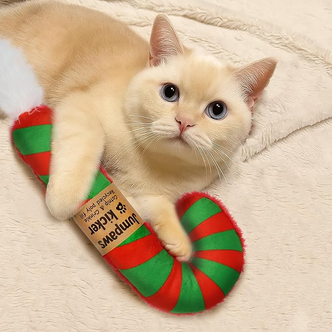 Lot de 2 jouets à herbe à chat interactifs naturels, jouet à mâcher résistant aux morsures, accessoires pour chats d'intérieur, canne de Noël
