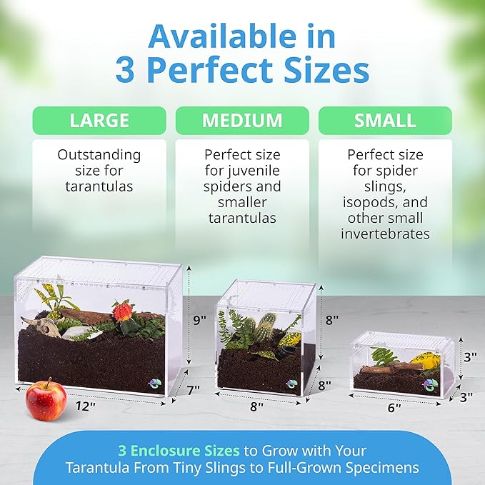 EctoTherm Terrestrial Terrarium - Tarantula Enclosure for Spider, Gecko, Frog, Snail & Small Reptiles - Acrylic Terrarium with Lid