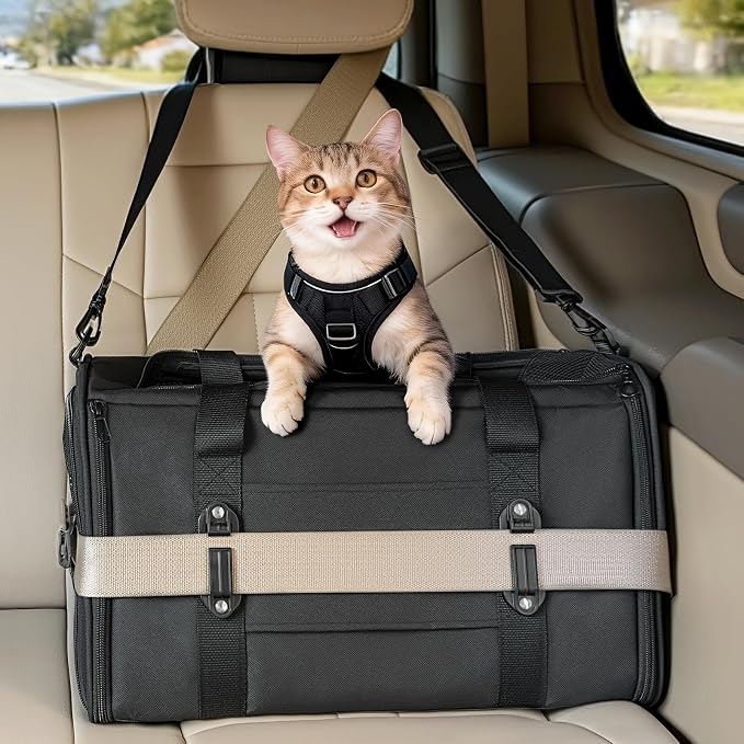 PETSFIT Large Cat Carrier with Patented Safety Buckles,Big Cats Up to 20 lb | Secure Carrier for Safe Driving, Lockable Zippers, Safety Tether, Travel Pet Carrier for Trips & Vet Visits,19 x 12 x 12