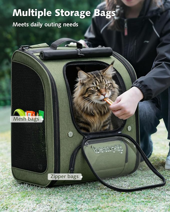 Pecute Cat Backpack Carrier,Large Space Cat Bubble Backpack,Ergonomic,Green | XXL,Sunshade Curtain,Transparent Window,Safety Rope,Sturdy,Large Mesh on Both Side for Breathability,Suitable for Outdoor,Vet