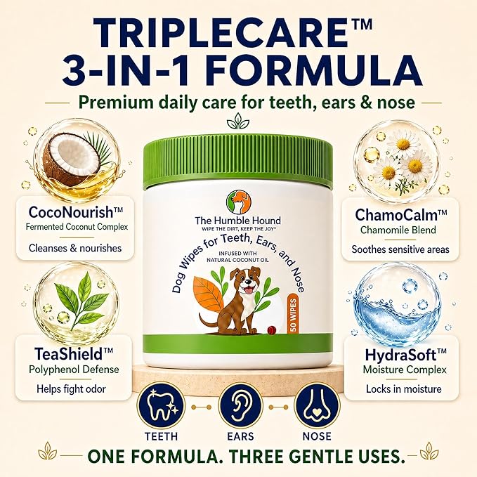 3-in-1 Dog Dental Wipes – Finger Wipes for Teeth, Ears & Snout Infused with Coconut Oil | Promotes Fresh Breath, Tartar Control & Daily Hygiene | Gentle Grooming Wipes for All Dogs – 50 Count