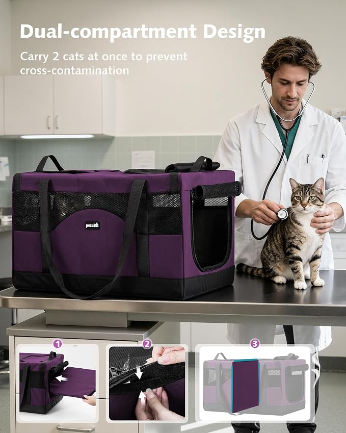 Pecute Cat Carrier, Soft Double Pet Crate for 2 Cats Travel, Purple | 5mm Anti-collapse Frame, Convertible Dual Space, Foldable, Polyester Breathable mesh, Up to 26 lbs, Car Travel & Vet Visits