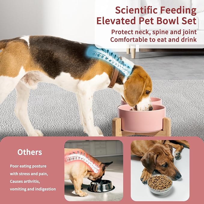 Elevated Ceramic Dog Bowl, 3.6 Cups Dog Food and Water Bowl Set with Stand | 6.1'' Double Dog Feeding Dishes, Non-Slip Raised Dog Feeder for Small and Medium Breeds, 28.74 OZ / 850 ML, White