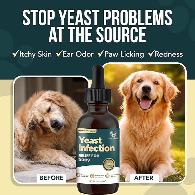Yeast Infection Treatment for Dogs Drops (7 in 1 Formula) Soothes Itchy & Irritated Skin, Improves Skin and Coat, Dog Yeast Infection Treatment & Anti Yeast Drops for Dogs