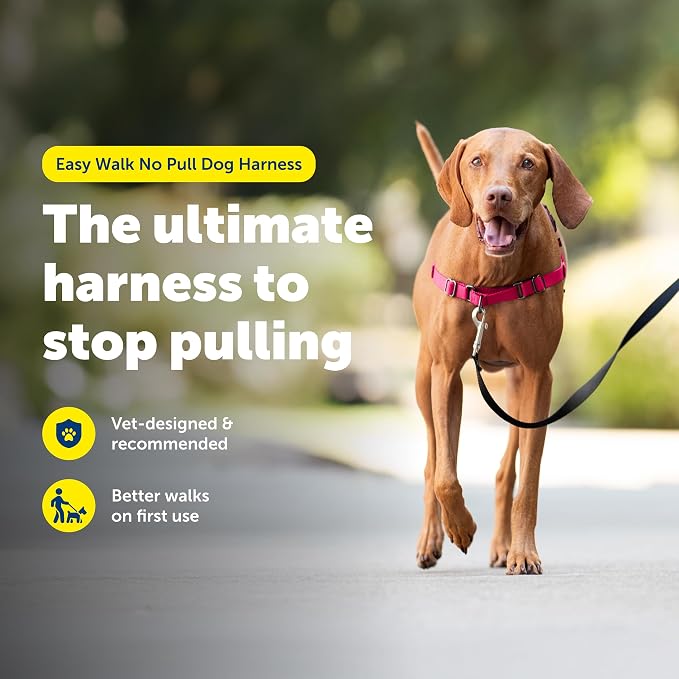 PetSafe Easy Walk Harness for Dogs - Pull-Free Walks - Patented Martingale Loop Design - Front Chest Leash Attachment - Comfort Straps - Breathable Harness Design - Medium, Red/Black | Patented Martingale Loop Gives Gradual Shoulder Pressure to Stop Pu...