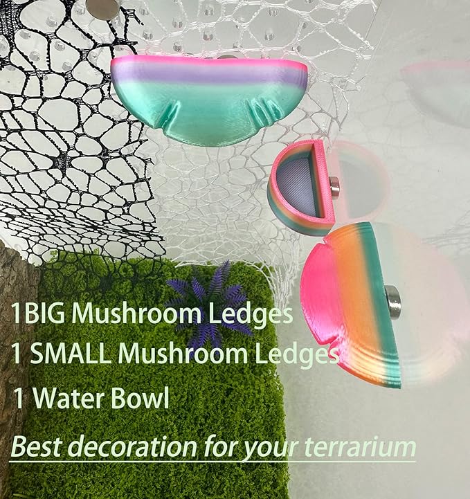 2 Pack Jumping Spider Accessories Mushroom Ledges & 1 Pack Water Bowl with Magnets for Spoods Jumping Spiders Magnetic Ledge Ladder Pet Spider Accessories (Not Included The Terrarium) (colorful)