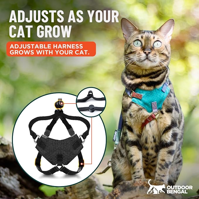 Houdini™ Escape Proof Cat Harness and Leash (Black, M/L) | Adjustable walking vest with 6ft lead, premium padded finish, snug secure fit, lightweight for travel and outdoor adventures